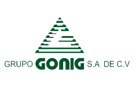 GRUPO GONIG