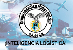 GRUPO LOGISTICO MARES DEL SUR